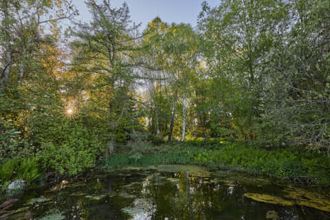 Gemeinde Mitterskirchen Landkreis Rottal-Inn Wassergarten (Dirschl Johann) Deutschland PAN